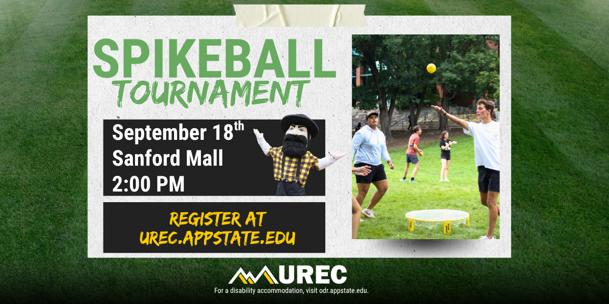 Spikeball